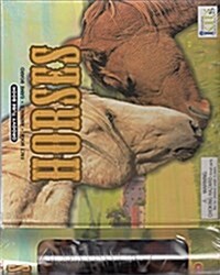 Horses (Package)