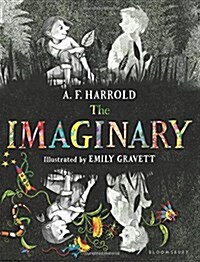 The Imaginary (Hardcover)