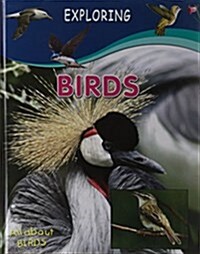 Birds (Paperback)