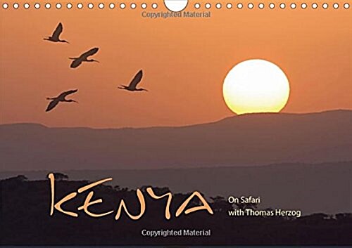 K E N Y A - UK Version : On Safari with Thomas Herzog (Calendar, 2 Rev ed)