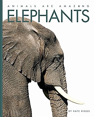 Animals Are Amazing: Elephants (Paperback, Illustrated ed)