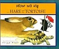 Hare and Tortoise (Paperback)