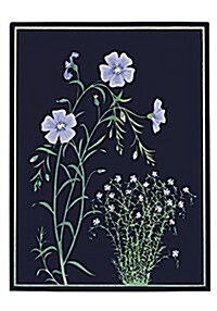 Kate Krasin: Blue Flax Small Boxed Cards (Other)