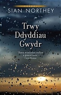 Trwy Ddyddiau Gwydr (Paperback)