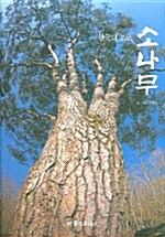 한국의 명품 소나무