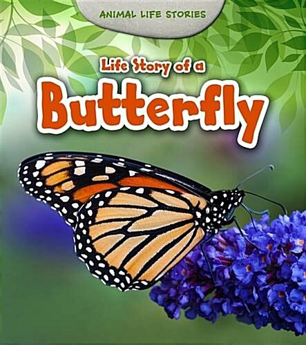 Life Story of a Butterfly (Paperback)