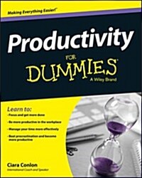 Productivity For Dummies (Paperback)