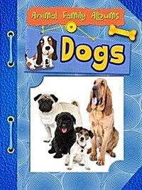 Animal Family Albums Pack A of 4 (Package)