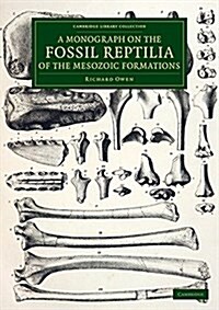 A Monograph on the Fossil Reptilia of the Mesozoic Formations (Paperback)