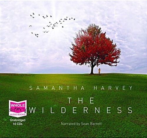 The Wilderness (CD-Audio)