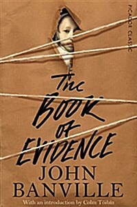 The Book of Evidence (Paperback)
