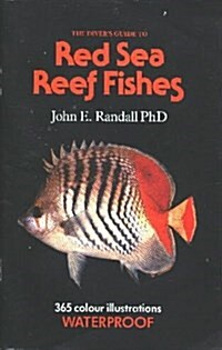The Divers Guide to Red Sea Reef Fishes (Paperback)