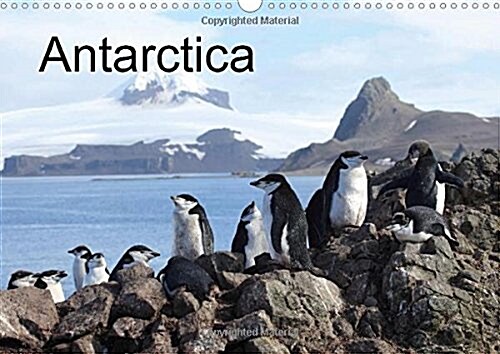 Antarctica (UK - Version) : Icebergs and Animals in Antarctica (Calendar, 2 Rev ed)