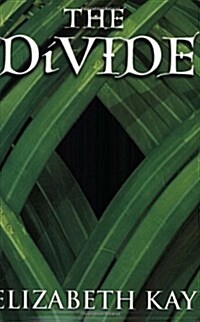 The Divide (Paperback)