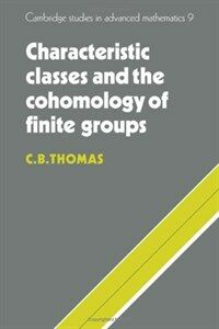Characteristic classes and the cohomology of finite groups