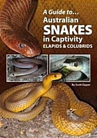 A Guide to Australian Snakes in Captivity : Elapids and Colubrids (Paperback)