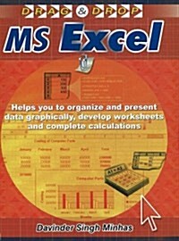 MS Excel (Paperback)