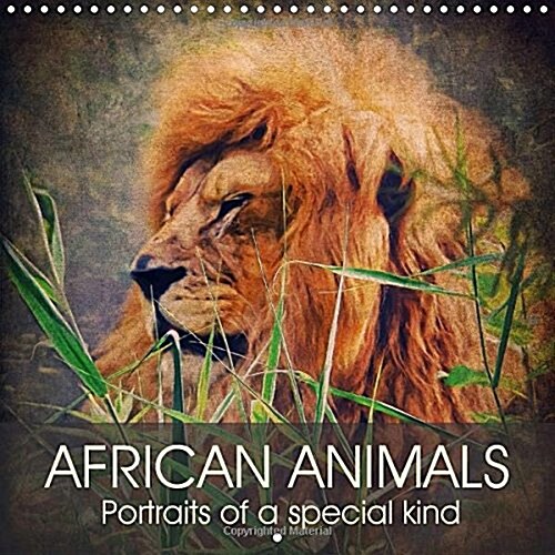 African Animals - Portraits of a Special Kind : Wonderful Artistic Photographs from the World of African Animals Will be a Close Companion Throughout  (Calendar)