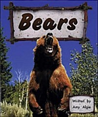 Bears (Paperback)