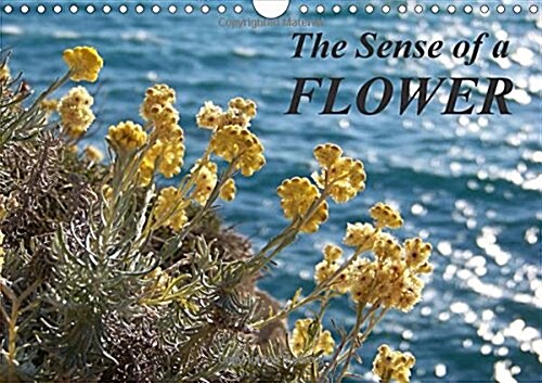 The Sense of a Flower : Universal Beauty of Flowers (Calendar)