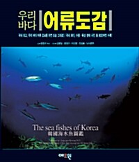 [중고] 우리바다 어류도감