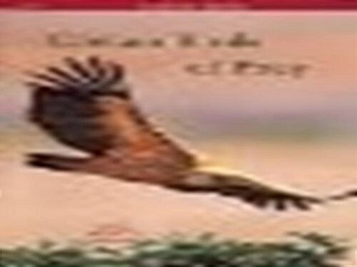 Cretan Birds of Prey (Paperback)