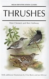 Thrushes (Hardcover)