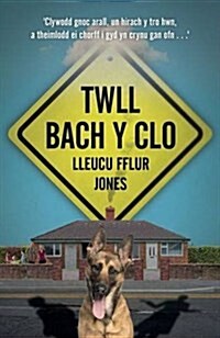 Twll Bach Y Clo (Paperback)