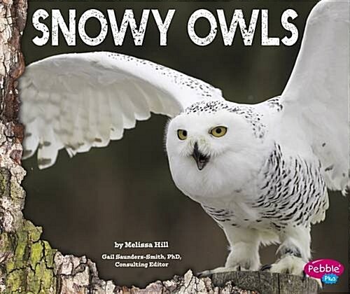Snowy Owls (Hardcover)