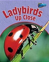 Ladybirds Up Close (Paperback)