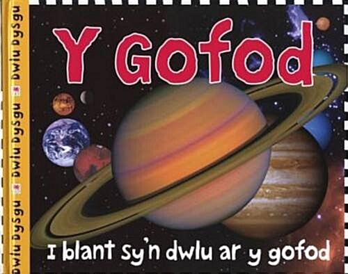 Y Gofod (Hardcover)