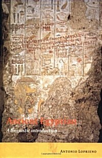 Ancient Egyptian : A Linguistic Introduction (Hardcover)