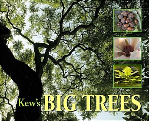 Kews Big Trees (Paperback)