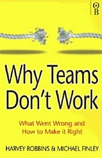 WHY TEAMS DONT WORK (Paperback)