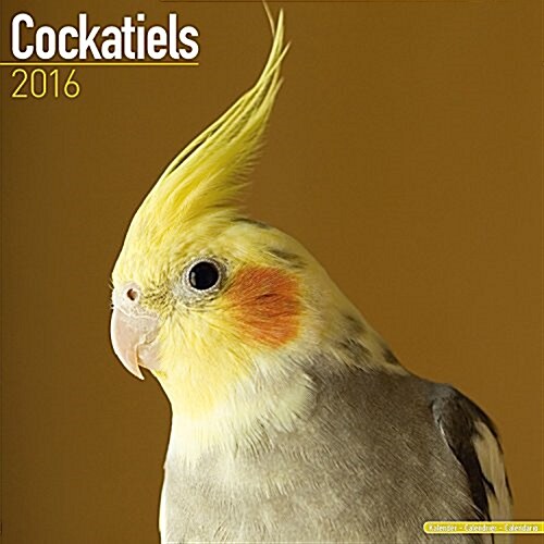 Cockatiels Calendar 2016 (Calendar)