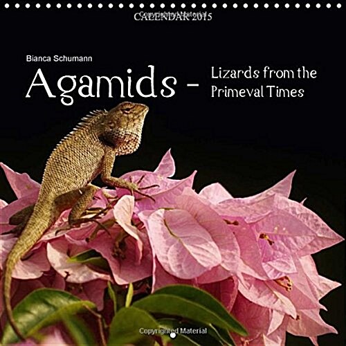 Agamids - Lizards from the Primeval Times : Photos of Oriental Garden Lizards in Their Natural Habitat (Calendar)