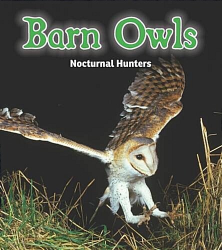 Barn Owls : Nocturnal Hunters (Paperback)