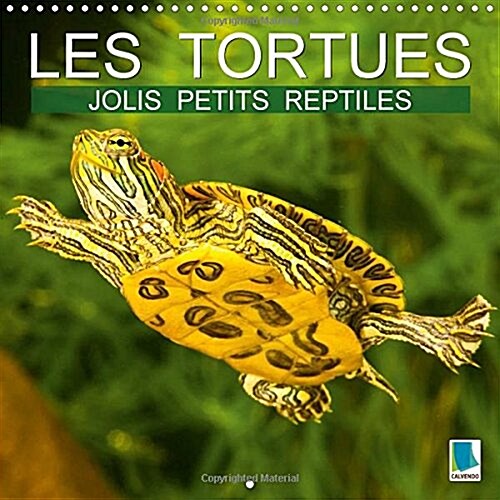 Jolis Petits Reptiles - Les Tortues : Les Tortues Dornement (Calendar)