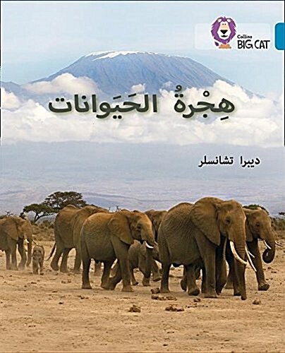 Animal Migration : Level 13 (Paperback)