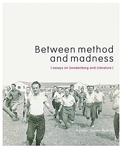 Between Method and Madness : Essays on Swedenborg and Literature (Paperback)