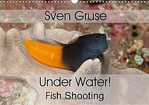 Sven Gruse Under Water! Fish Shooting : Enjoy the Impressive Underwater World (Calendar)