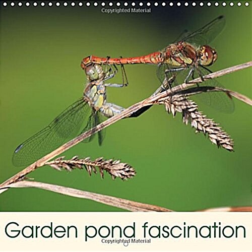 Garden Pond Fascination : Paradise for Plants and Animals (Calendar)