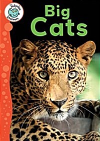 Tadpoles Learners: Big Cats (Hardcover, Illustrated ed)