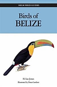 Birds of Belize (Paperback)