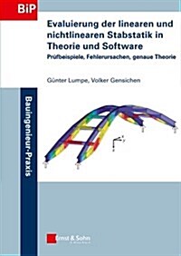 Evaluierung der linearen und nichtlinearen Stabstatik in Theorie und Software - Prufbeispiele, Fehlerursachen, genaue Theorie (Paperback)