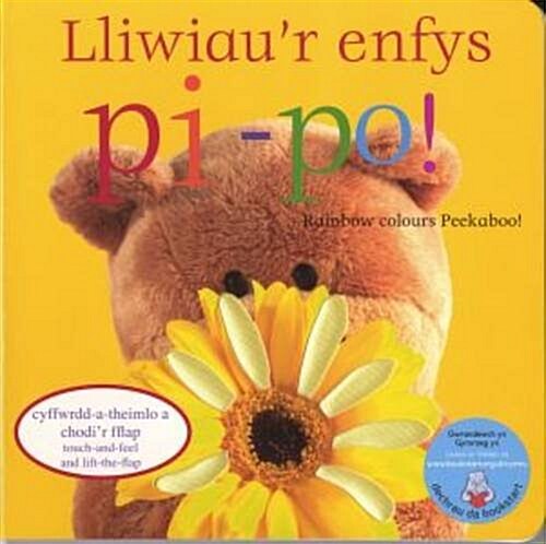 Lliwiaur Enfys Pi-Po/Rainbow Colours Peekaboo (Hardcover)