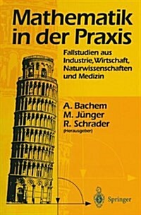 Mathematik in Der Praxis: Fallstudien Aus Industrie, Wirtschaft, Naturwissenschaften Und Medizin (Hardcover)