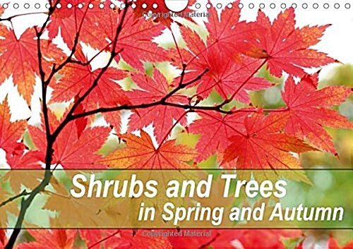 Shrubs and Trees in Spring and Autumn : Blossoms and Berries of Shrubs and Trees. (Calendar)