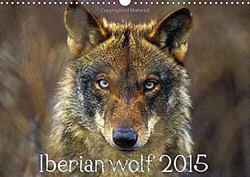 Iberian Wolf 2015 : Discover the Beauty of the Iberian Wolf, a Subspecies That Lives in Spain and Portugal (Calendar)