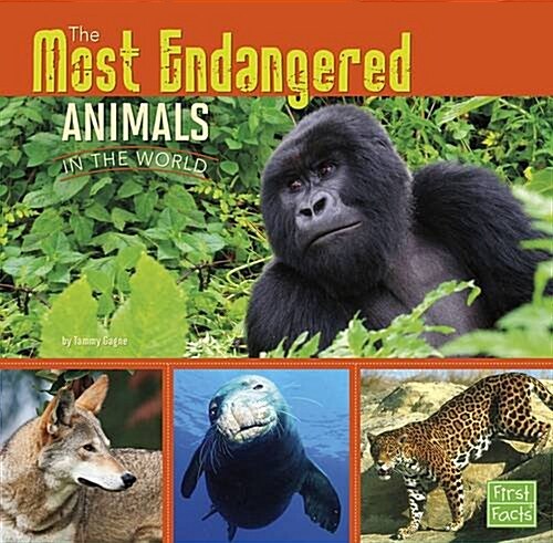 The Most Endangered Animals in the World (Hardcover)